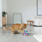 Balle multicolore en nylon pour chat Esprit Chat, jouet interactif pour animaux de compagnie