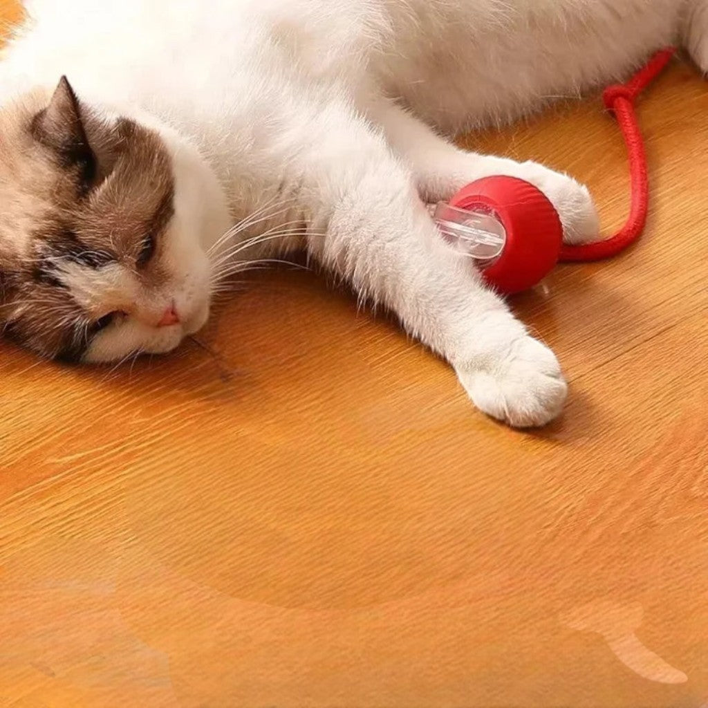 Balle électrique interactive Esprit Chat en caoutchouc rouge avec cordon, pour chats et chiens.