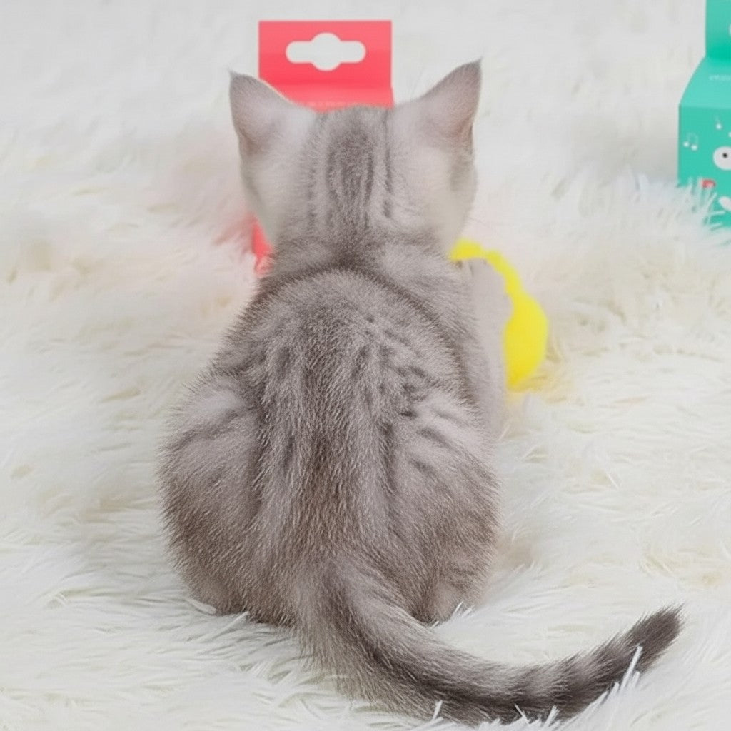Chaton gris jouant avec une balle interactive sonore Esprit Chat sur un tapis blanc moelleux