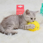 Chaton gris jouant avec une balle interactive en peluche jaune Esprit Chat qui émet des sons d'animaux