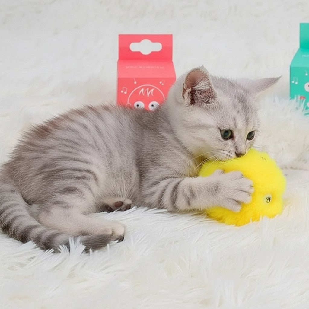 Chaton gris jouant avec une balle interactive en peluche jaune Esprit Chat qui émet des sons d'animaux