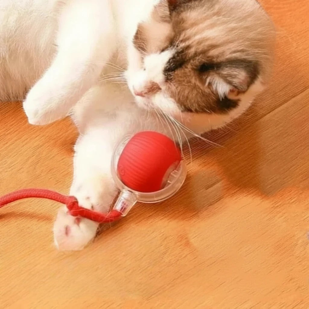 Balle rouge interactive Esprit Chat pour chat, en caoutchouc, avec cordon, sur un parquet.