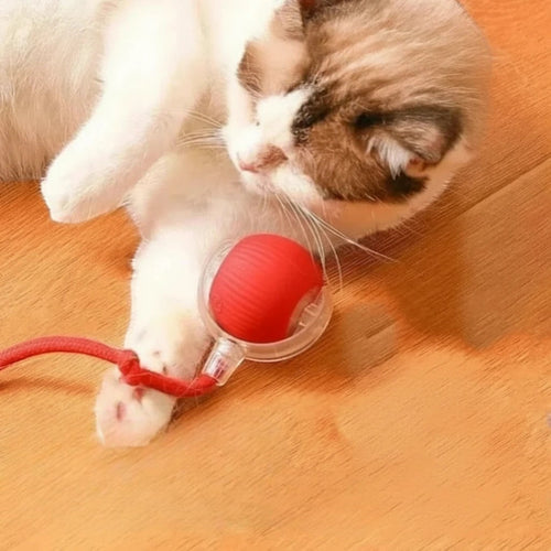Balle rouge interactive Esprit Chat pour chat, en caoutchouc, avec cordon, sur un parquet.