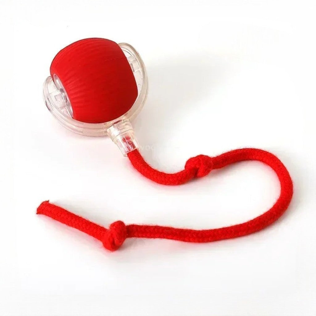 Balle interactive rouge en caoutchouc avec cordon pour chat, jouet électrique autonome