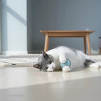Balle interactive Esprit Chat en silicone bleu, pour chat, avec rotation automatique, 42mm