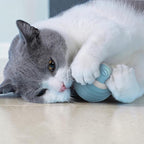 Balle interactive Esprit Chat en silicone bleu et blanc, pour chats, avec un chat jouant avec.