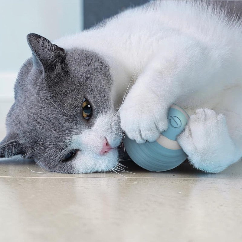 Balle interactive Esprit Chat en silicone bleu et blanc, pour chats, avec un chat jouant avec.