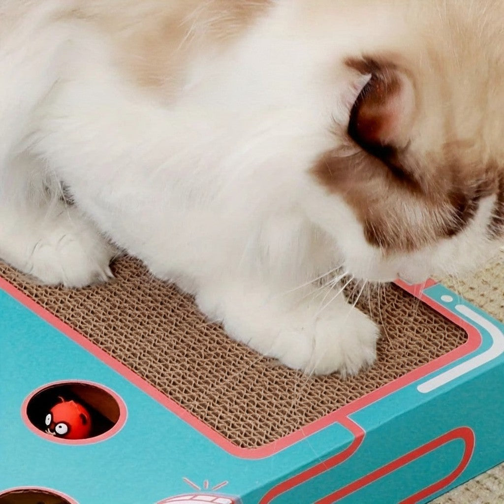 Boîte de jeu pour chat Esprit Chat en carton ondulé avec jouet rouge intégré, pour le grattage et le jeu.