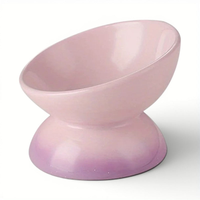 Bol Esprit Chat surélevé en céramique rose et violette pour le confort digestif des chats