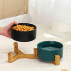 Bol surélevé Esprit Chat en céramique avec support en bois pour chat et chien, disponible en noir et vert