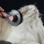 Brosse Esprit Chat autonettoyante pour chat avec poils en acier inoxydable pour un brossage doux et efficace