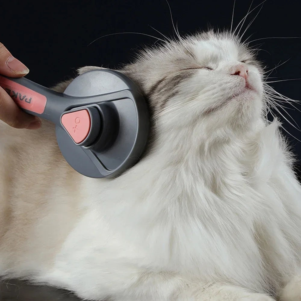 Brosse Esprit Chat autonettoyante pour chat avec poils en acier inoxydable pour un brossage doux et efficace