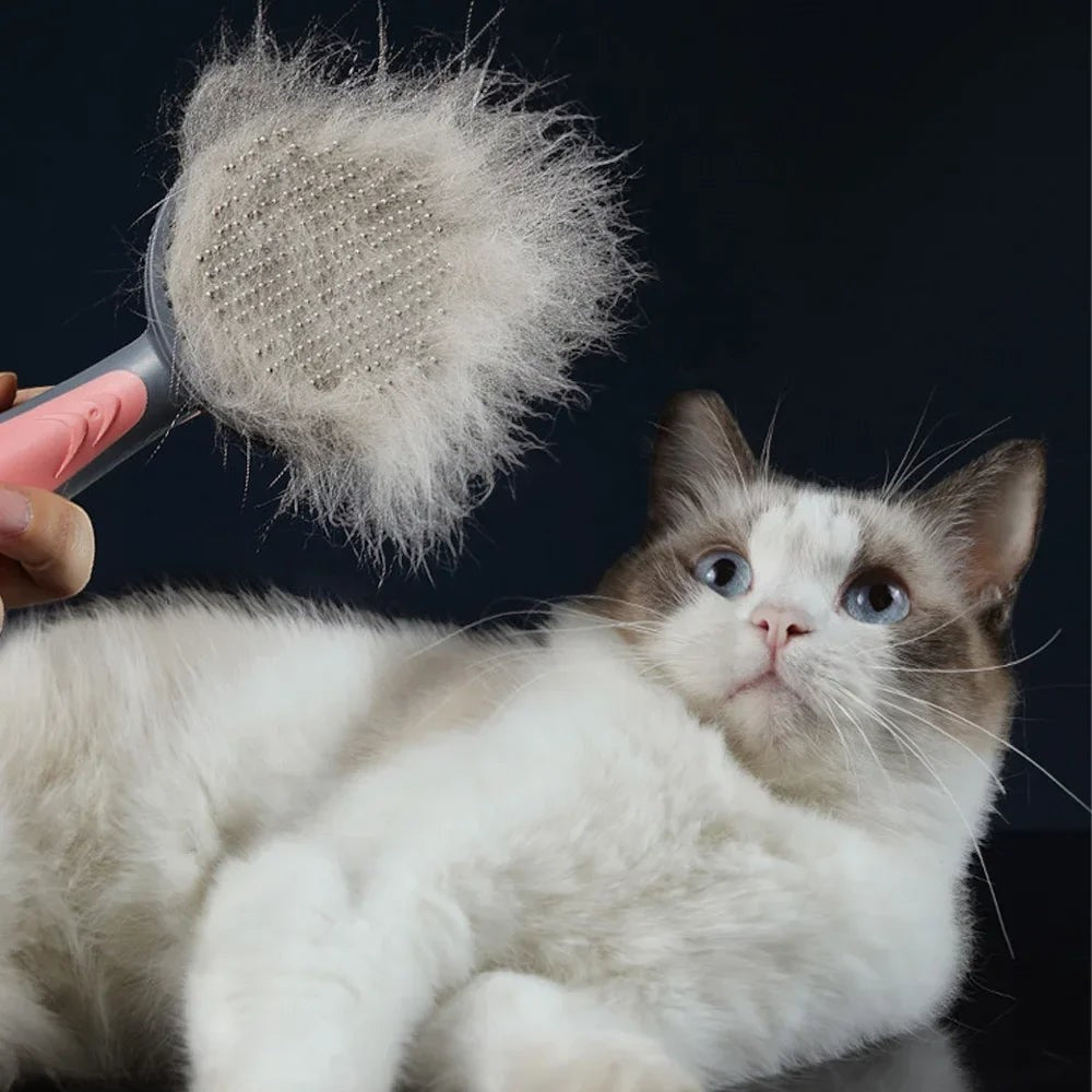 Brosse autonettoyante Esprit Chat rose et grise avec poils de chat retirés, utilisée sur un chat Ragdoll aux yeux bleus