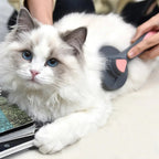 Brosse démêlante Esprit Chat pour chat à poils longs, avec bouton autonettoyant et picots en acier inoxydable