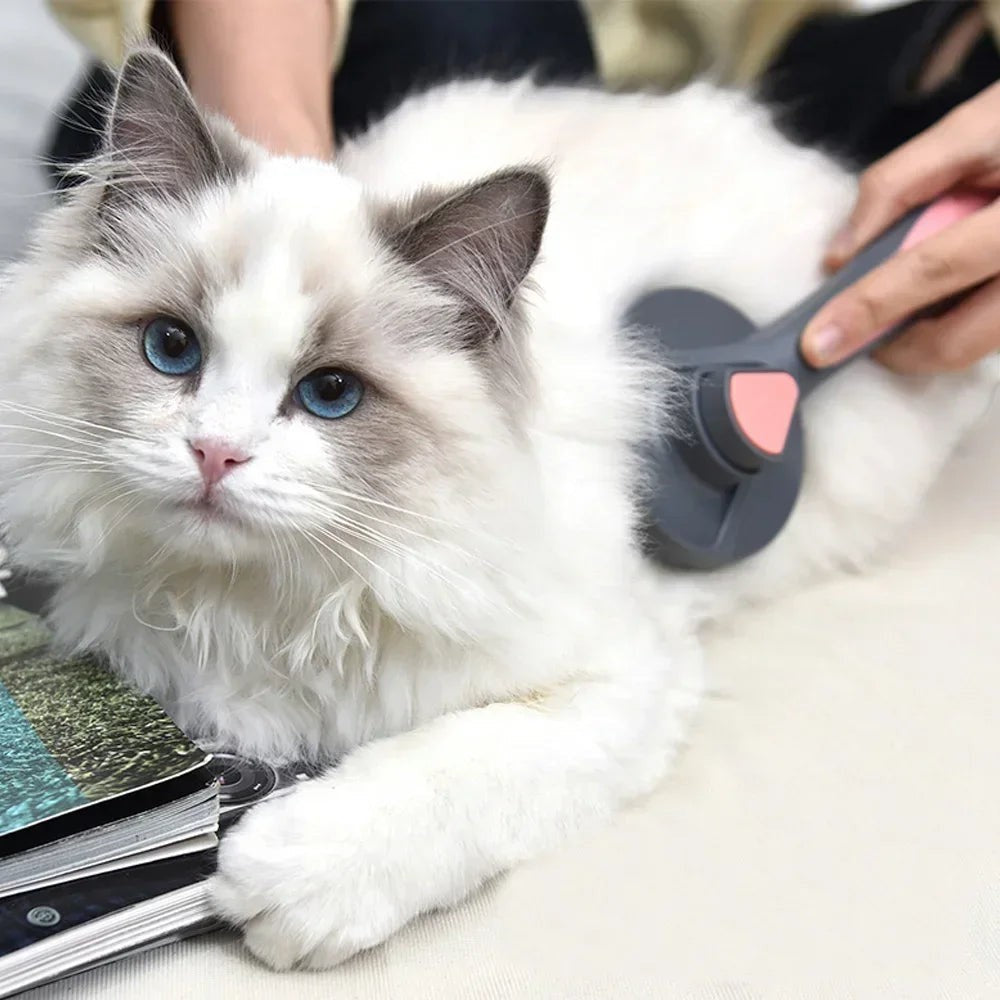 Brosse démêlante Esprit Chat pour chat à poils longs, avec bouton autonettoyant et picots en acier inoxydable