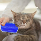 Brosse de massage Esprit Chat bleue en plastique pour le toilettage et le bien-être d'un chat gris