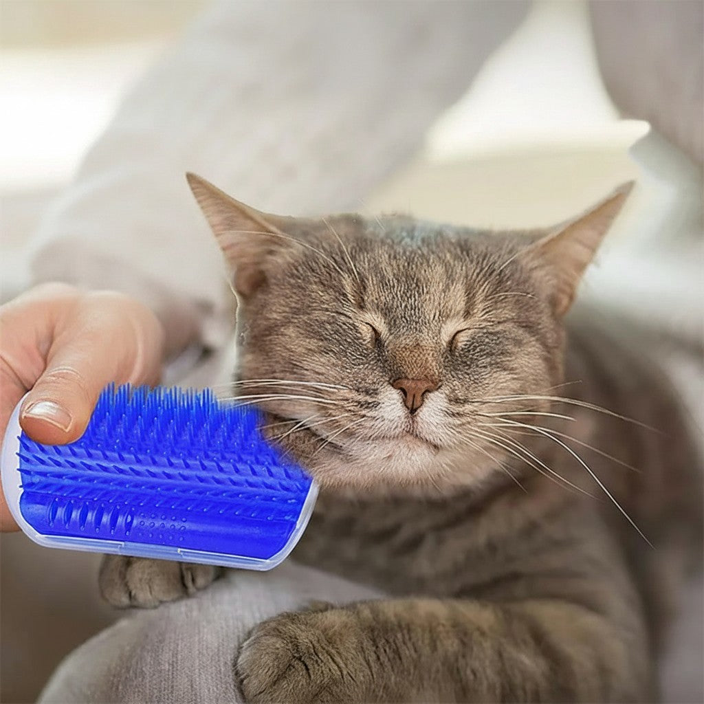 Brosse de massage Esprit Chat bleue en plastique pour le toilettage et le bien-être d'un chat gris