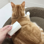 Brosse de massage Esprit Chat blanche en plastique pour le toilettage d'un chat roux sur un griffoir