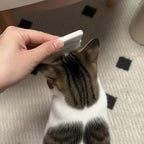 Brosse de massage Esprit Chat blanche en plastique utilisée pour brosser doucement la tête d'un chat tigré