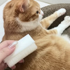 Brosse de massage Esprit Chat en plastique blanc pour le toilettage d'un chat roux et blanc