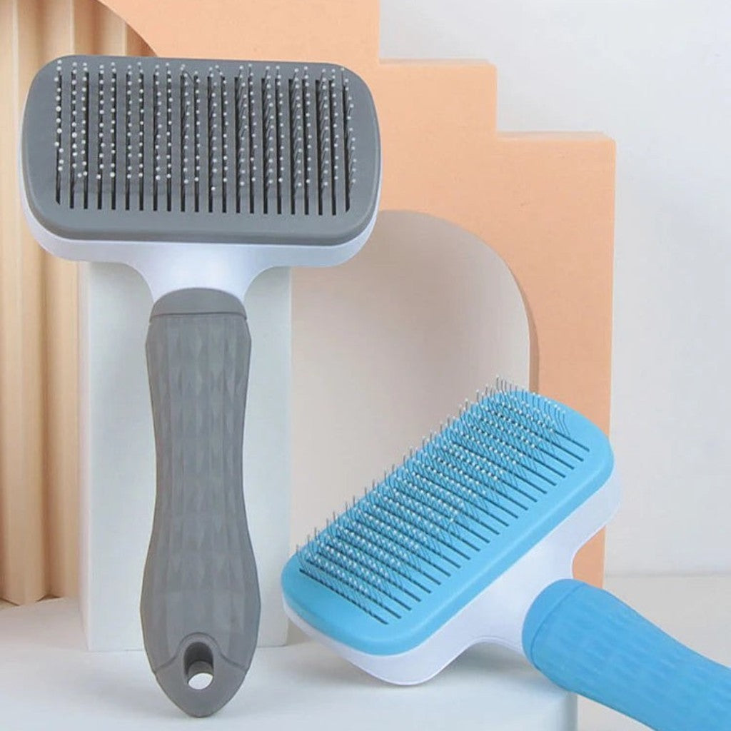 Brosses de toilettage Esprit Chat en plastique avec picots fins pour démêler les poils de chat, coloris gris et bleu.