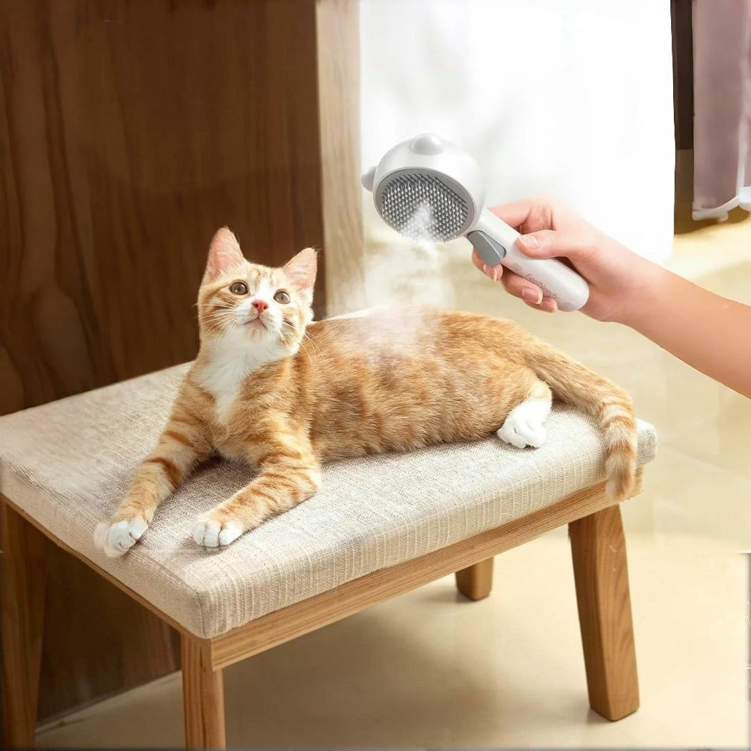 Brosse à vapeur Esprit Chat 3 en 1 utilisée pour toiletter un chat roux sur un tabouret, avec brume fine visible.