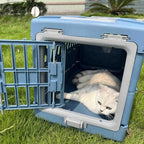 Caisse de transport Esprit Chat bleue en plastique pour chat, idéale pour les voyages en voiture.