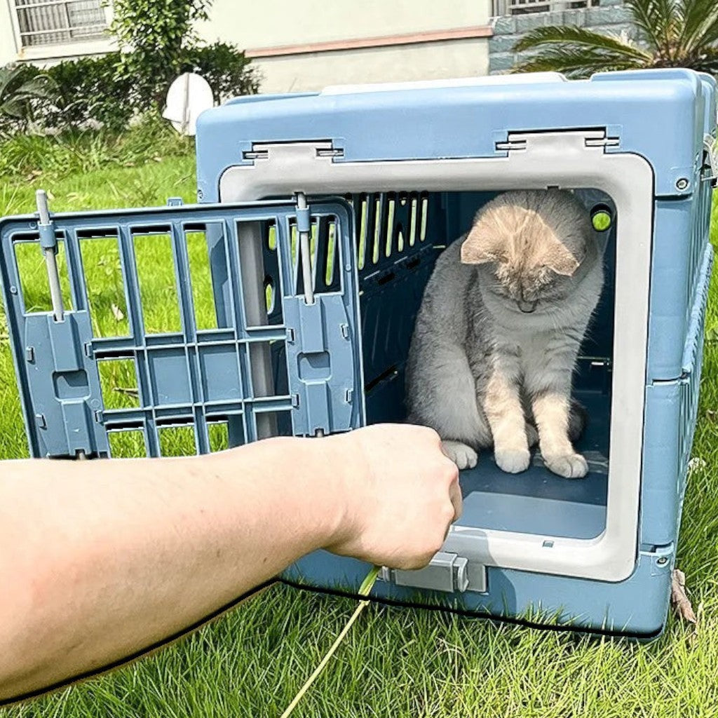 Caisse de transport Esprit Chat en plastique bleu pour chat, idéale pour les voyages en voiture en toute sécurité.
