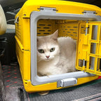 Caisse de transport pour chat Esprit Chat jaune en plastique rigide, idéale pour les voyages en voiture.
