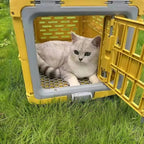 Caisse de transport pour chat Esprit Chat jaune en plastique avec porte à bouton-pression sur une pelouse verte