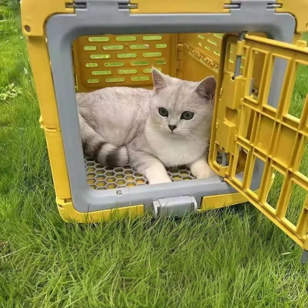 Caisse de transport pour chat Esprit Chat jaune en plastique avec porte à bouton-pression sur une pelouse verte