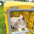 Caisse de transport Esprit Chat en plastique jaune pour chat, idéale pour les voyages en voiture