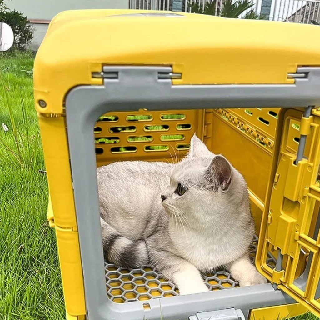 Caisse de transport Esprit Chat en plastique jaune pour chat, idéale pour les voyages en voiture