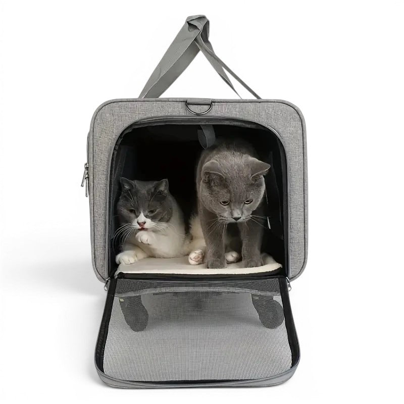 Caisse de transport Esprit Chat grise en nylon avec deux chats à l'intérieur, ouverture zippée et filet respirant.