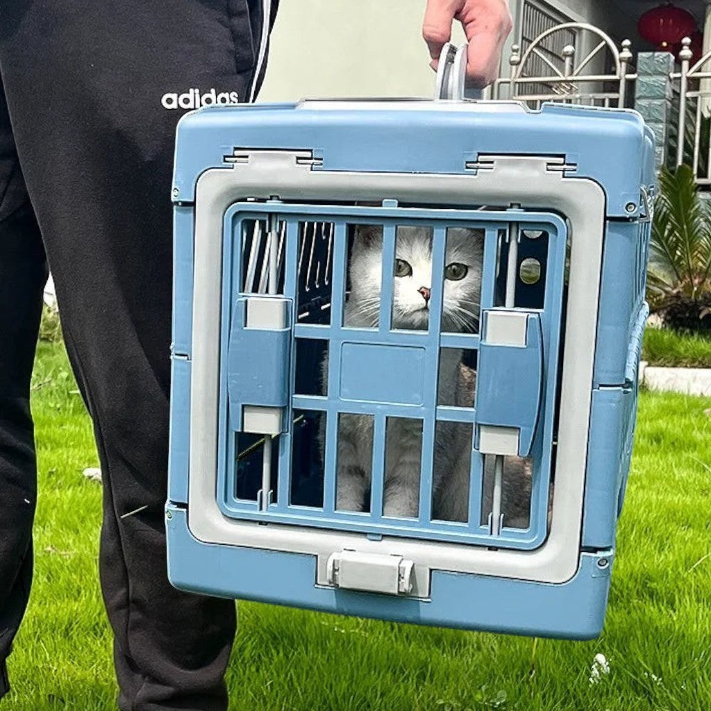 Caisse de transport Esprit Chat en plastique bleu pour chat, idéale pour les voyages en voiture.