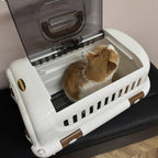 Caisse de transport Esprit Chat en plastique blanc avec porte supérieure transparente et chat roux à l'intérieur
