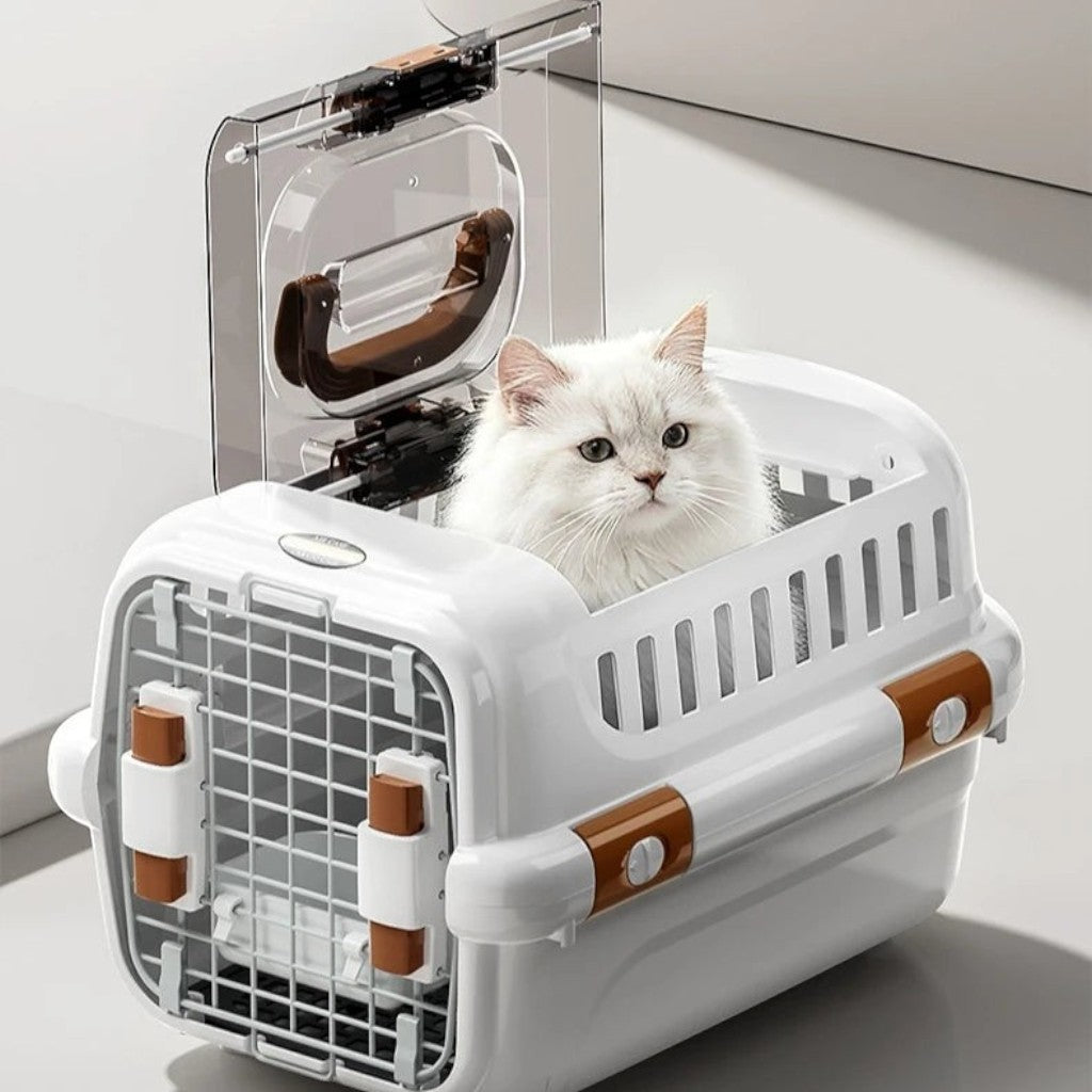 Caisse de transport Esprit Chat en plastique blanc avec porte transparente pour chat blanc