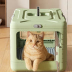 Caisse de transport Esprit Chat vert pastel en plastique avec porte grillagée et chat roux à l'intérieur