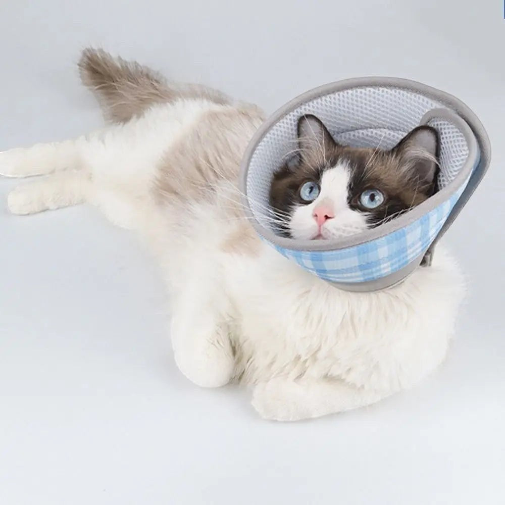Collerette souple Esprit Chat en tissu mesh bleu et blanc à carreaux, ajustable et respirante, idéale pour la convalescence post-opératoire des chats.