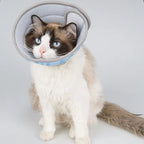 Collerette souple Esprit Chat en tissu mesh respirant, ajustable, pour chaton post-opératoire, anti-morsure, bleu et gris.