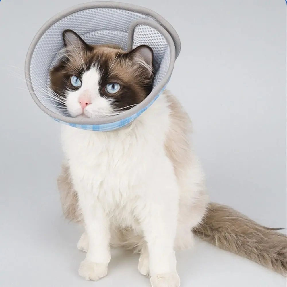 Collerette souple Esprit Chat en tissu mesh respirant, ajustable, pour chaton post-opératoire, anti-morsure, bleu et gris.