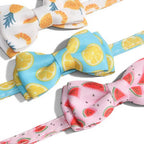 Colliers pour chat Esprit Chat avec nœuds papillon à motifs de fruits colorés, en polyester avec grelot et boucle