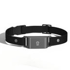 Collier GPS noir en nylon pour chat et chien, avec boîtier discret et logo de localisation.