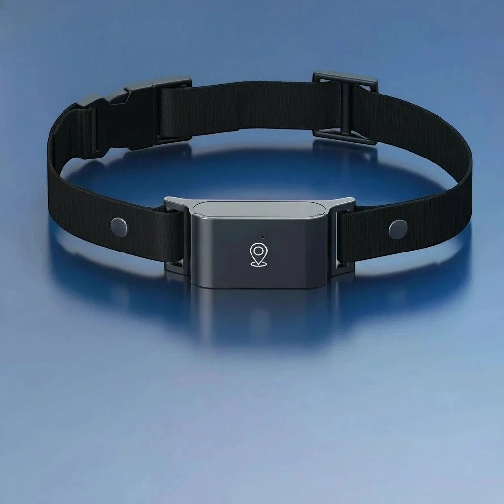 Collier GPS noir en nylon pour chat et chien, avec traceur anti-perte, marque Esprit Chat.