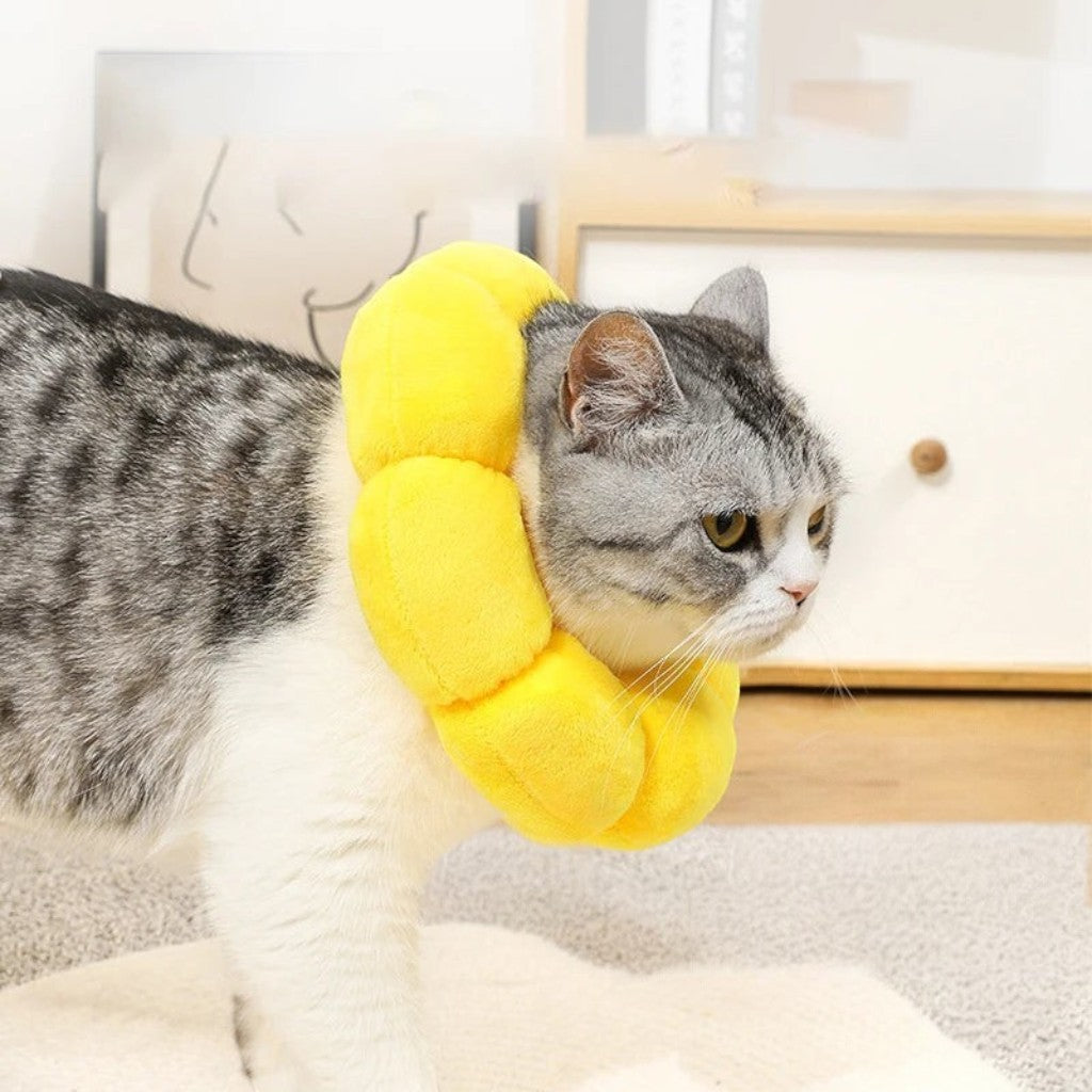Collier de protection Esprit Chat en forme de tournesol jaune doux pour chat après une opération chirurgicale