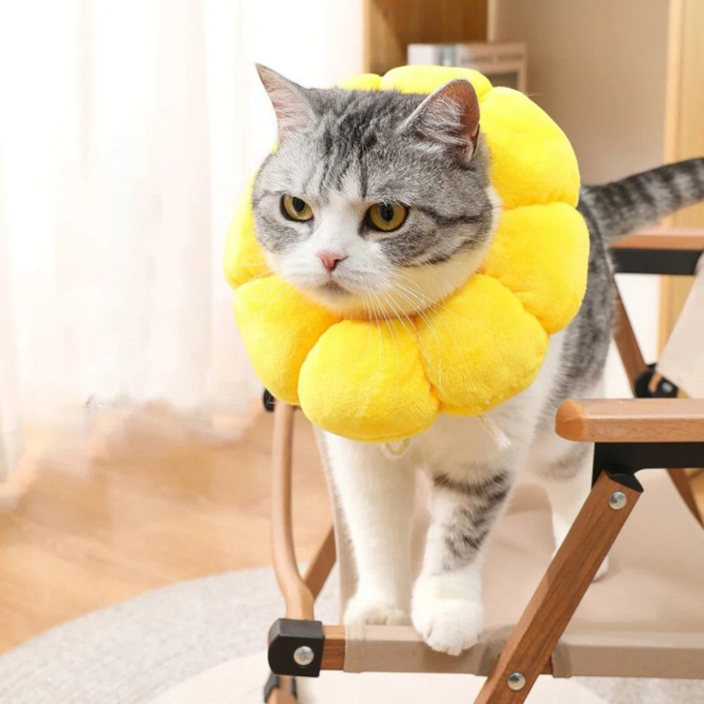 Collier de protection Esprit Chat en forme de tournesol jaune doux pour chat après une opération chirurgicale