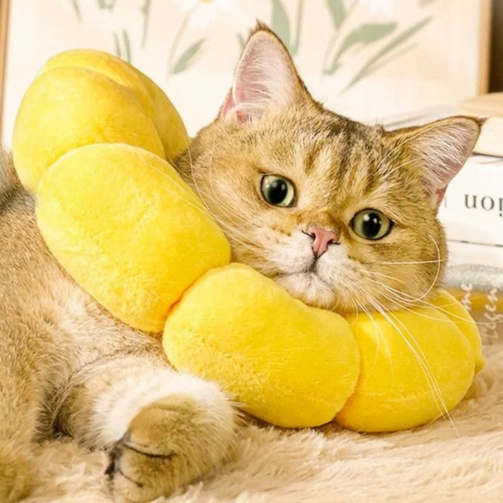Collier de protection Esprit Chat en forme de tournesol jaune doux pour chat après chirurgie