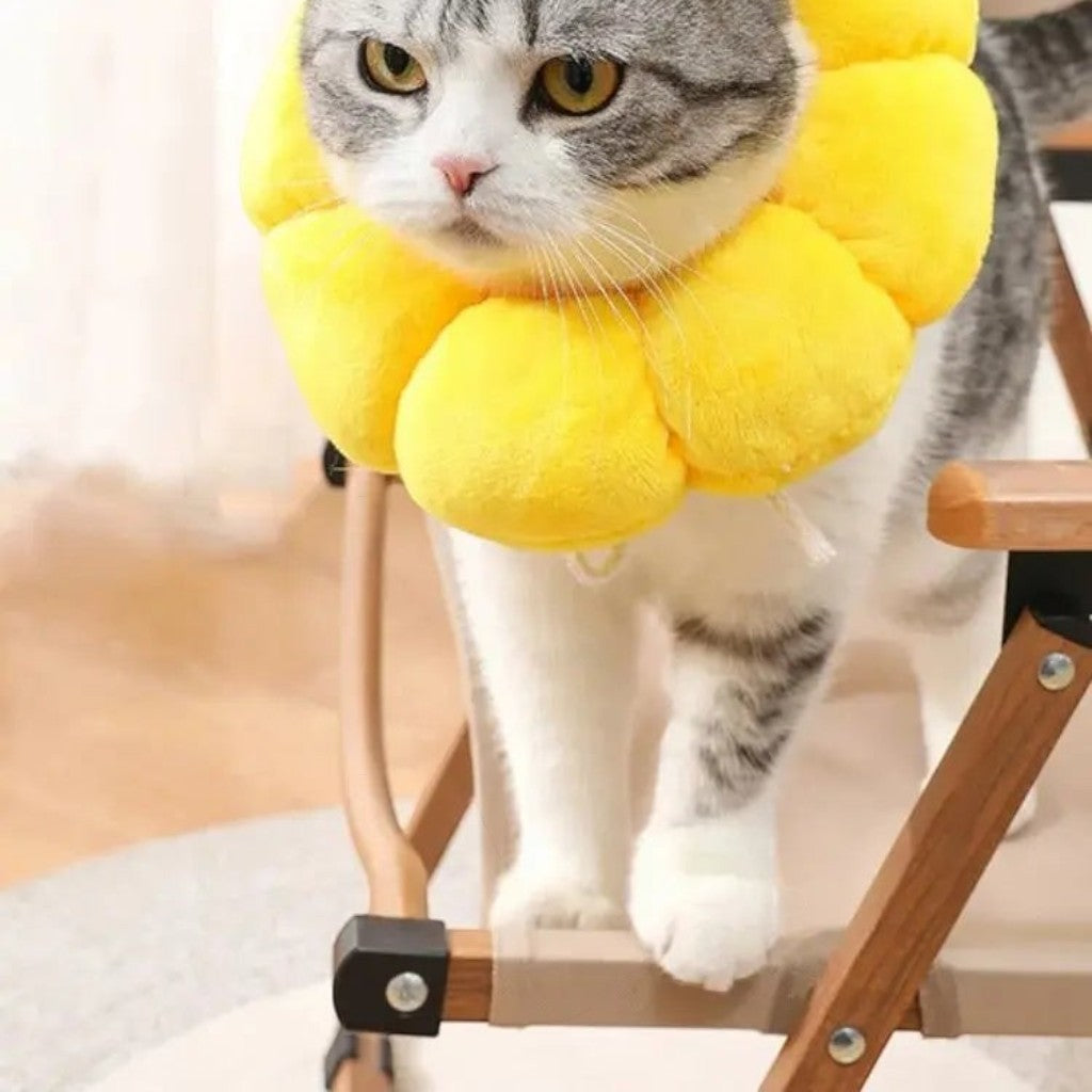 Collier de protection Esprit Chat en forme de tournesol jaune doux pour chat après une opération chirurgicale