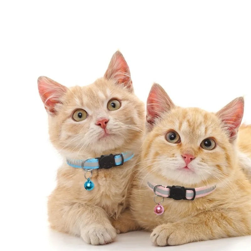 Deux chats roux portant des colliers réfléchissants Esprit Chat avec clochette et boucle de sécurité anti-étranglement