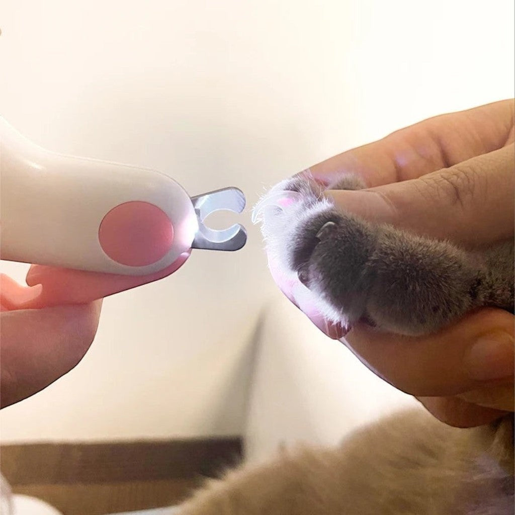 Coupe-griffe Esprit Chat avec lumière LED intégrée et lames en acier inoxydable pour couper les griffes de chat